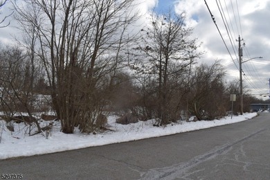 Prime commercial real estate alert! This Hi-Traffic lot in - photo 2