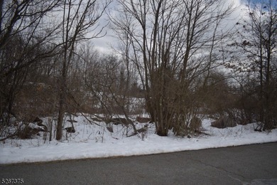 Prime commercial real estate alert! This Hi-Traffic lot in - photo 3
