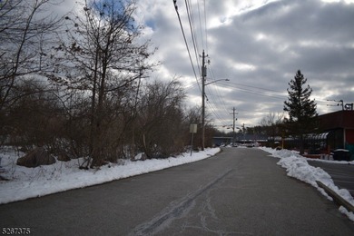 Prime commercial real estate alert! This Hi-Traffic lot in - photo 4