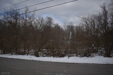 Prime commercial real estate alert! This Hi-Traffic lot in - photo 5
