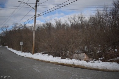 Prime commercial real estate alert! This Hi-Traffic lot in - photo 6