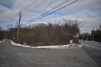 Prime commercial real estate alert! This Hi-Traffic lot in - photo 7
