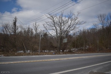 Prime commercial real estate alert! This Hi-Traffic lot in - photo 9