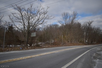 Prime commercial real estate alert! This Hi-Traffic lot in - photo 10