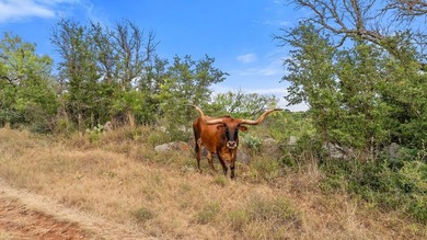 At the heart of the ranch lies a custom two-story home, built in - photo 36