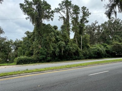 (private lake, pond, creek) Lot For Sale in Gainesville Florida