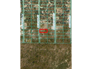 Bonable Lake Lot For Sale in Dunnellon Florida