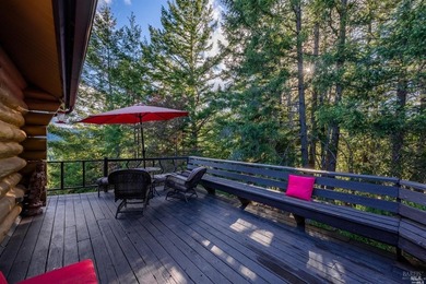 Remember reminiscing about that log cabin in the redwoods you - photo 11