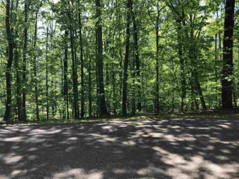 Pickwick Lake Lot For Sale in Savannah Tennessee