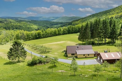 Perched high with breathtaking long-range views, this immaculate - photo 1