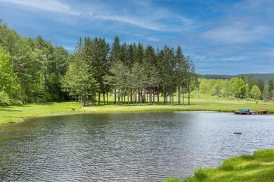 Perched high with breathtaking long-range views, this immaculate - photo 3