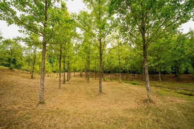 WELCOME TO A BEAUTIFUL COUNTRY PROPERTY OFFERING THE PERFECT - photo 38