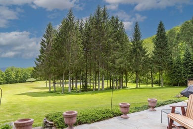 Perched high with breathtaking long-range views, this immaculate - photo 9