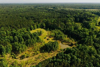 WELCOME TO A BEAUTIFUL COUNTRY PROPERTY OFFERING THE PERFECT - photo 42