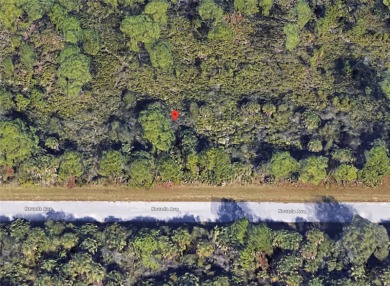 Port Charlotte Waterway Lakes Area Lot For Sale in Port Charlotte Florida