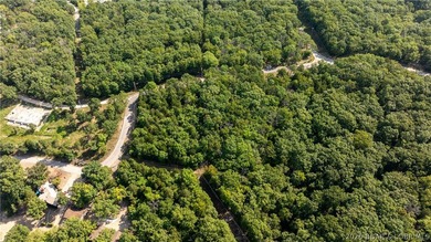 This is a rare opportunity to own four beautiful lots totaling 1 - photo 10