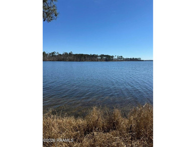 Discover the perfect canvas for your dream lake lifestyle on Lot - photo 2