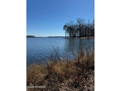 Discover the perfect canvas for your dream lake lifestyle on Lot - photo 3
