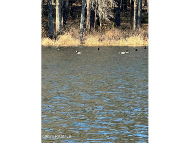 Discover the perfect canvas for your dream lake lifestyle on Lot - photo 4