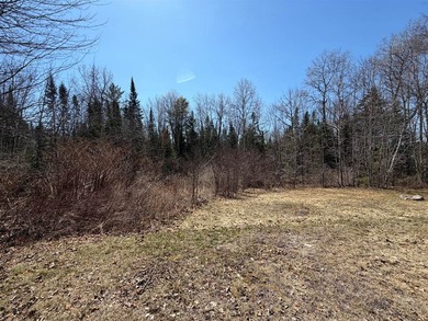 Exceptional investment opportunity with strong income potential - photo 16