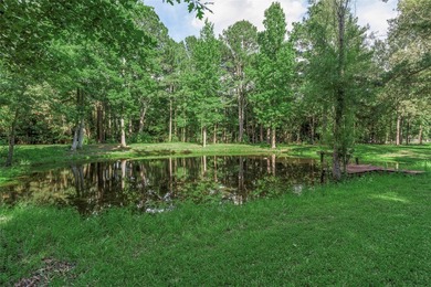 Beautiful land in Benton is hard to find, and opportunities like - photo 6