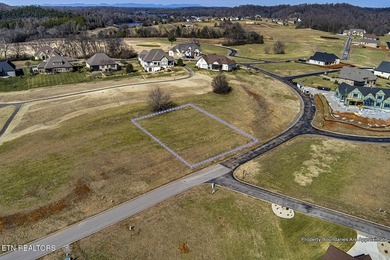 Beautiful GOLF FRONT LOT at the fourteenth tee box WITH LAKE - photo 19