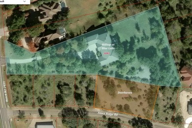Set beyond a private gated entrance atop 3.2 acres spanning two - photo 40