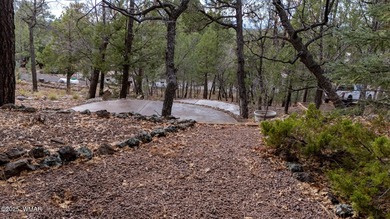 Experience Elevated Mountain Living in This Extraordinary Custom