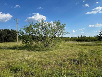 Lake Brownwood Lot For Sale in Brownwood Texas