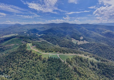 Lake Lot For Sale in Butler, Tennessee