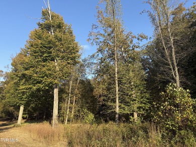 Holston River - Hawkins County Acreage Sale Pending in Church Hill Tennessee