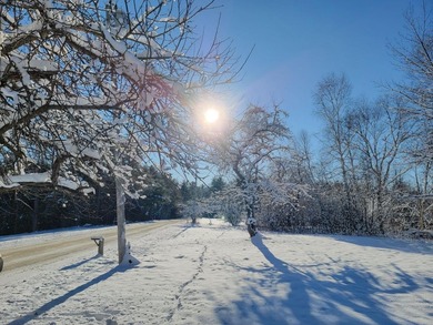 (private lake, pond, coastal) Lot For Sale in Eastbrook Maine