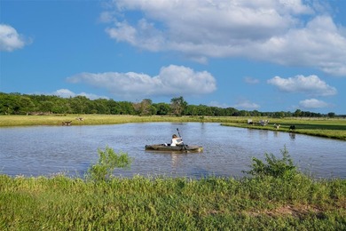 Your Texas Dream Life awaits in this ultimate ranch retreat! - photo 5