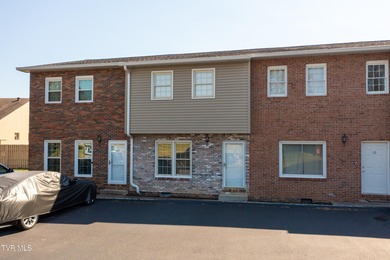 Holston River - Hawkins County Condo For Sale in Kingsport Tennessee