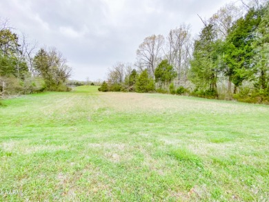 Watts Bar Lake Lot For Sale in Rockwood Tennessee