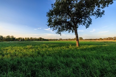 Discover this incredible 25+/- ac. property nestled in the heart - photo 33