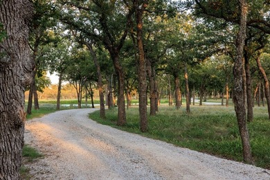 Discover this incredible 25+/- ac. property nestled in the heart - photo 37