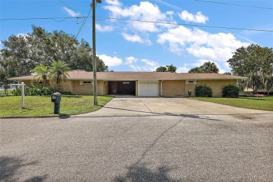 Lake Home For Sale in Summerfield, Florida