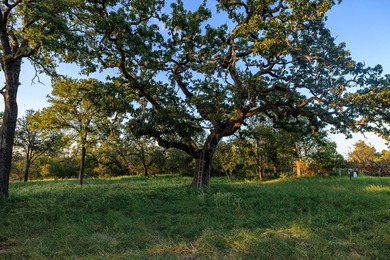 Discover this incredible 25+/- ac. property nestled in the heart - photo 43