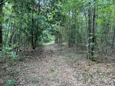 Lake Acreage For Sale in Rose Hill, Alabama