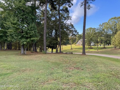 Rare corner, elevated wooded lot in gated Gray's Creek - photo 12