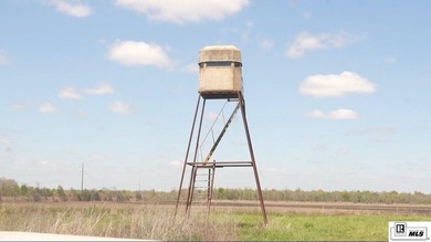 Deer Park Plantation is a 638 acre turnkey hunting and - photo 13