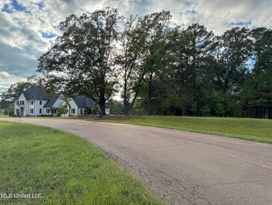 Rare corner, elevated wooded lot in gated Gray's Creek - photo 14