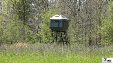 Deer Park Plantation is a 638 acre turnkey hunting and - photo 15