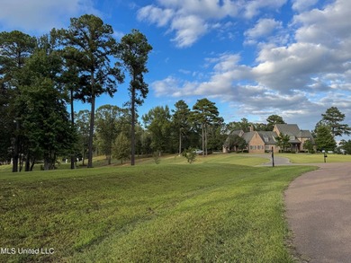 Rare corner, elevated wooded lot in gated Gray's Creek - photo 16