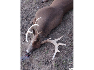 Deer Park Plantation is a 638 acre turnkey hunting and - photo 16