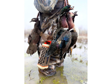 Deer Park Plantation is a 638 acre turnkey hunting and - photo 17