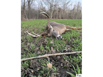 Deer Park Plantation is a 638 acre turnkey hunting and - photo 19