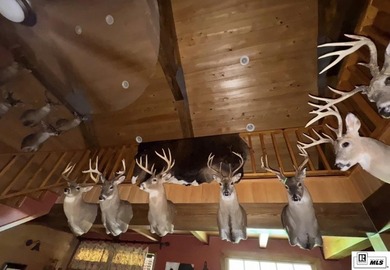Deer Park Plantation is a 638 acre turnkey hunting and - photo 20
