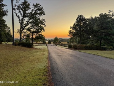 Rare corner, elevated wooded lot in gated Gray's Creek - photo 21